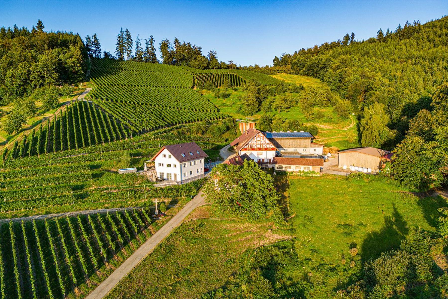 Paradieshof Lautenbach Ngoại thất bức ảnh